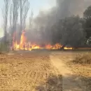 Los incendios forestales y de campos no dan tregua en Mendoza