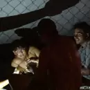 Rescataron a 121 migrantes hacinados en el interior de un camión abandonado en México
