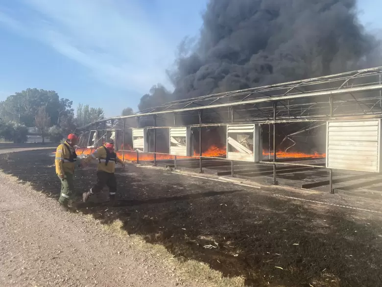 Invernaderos quemados San Rafael