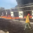 PRDIDAS MILLONARIA: Se quemaron invernaderos en Villa Atuel de San Rafael