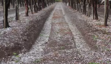 El granizo y la lluvia dejaron daños y anegamientos en Mendoza