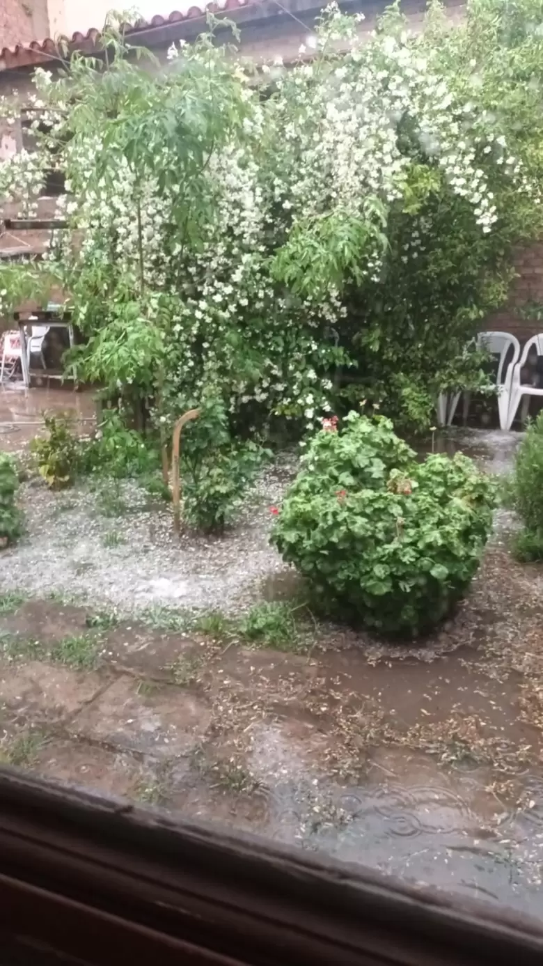 El granizo y la lluvia dejaron daos y anegamientos en Mendoza