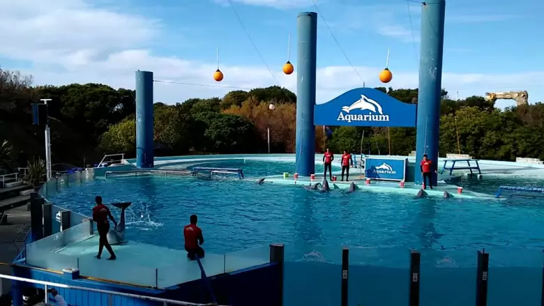Aquarium de Mar del Plata