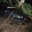 Las fuertes ráfagas de viento provocaron daños en San Rafael