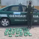 Transportaban 33 kilos de hojas de coca y los detuvieron
