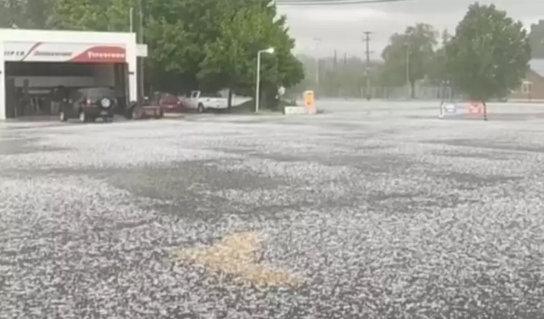 Granizo-san-carlos