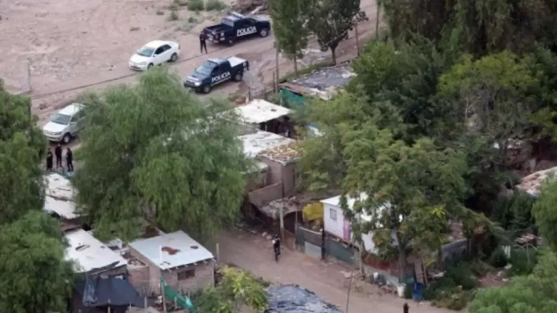 campo papa
