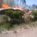 Importante incendio en una maderera de Luján de Cuyo