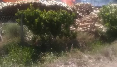 incendio maderera lujan de cuyo