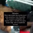 Video: fue a ver el partido de Argentina, abandon sus perros en el bal y murieron asfixiados