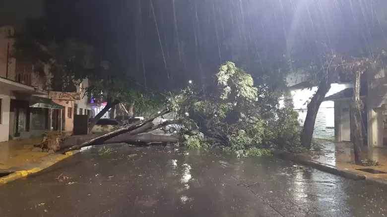 Lluvias Mendoza