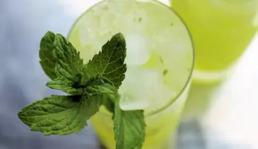 receta de mojito de melon