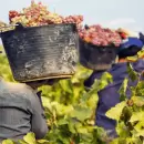 Trabajadores vitivincolas reclaman en el ingreso a Mendoza