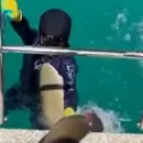 Video: Un nene fue atacado por un tiburón en Australia