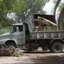 Quitaron más de 250 árboles caídos y normaliza caminos rurales en el Este y Maipú