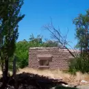 Hallan restos humanos en una finca abandonada en Mendoza