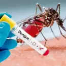 Alerta: se detectó en Mendoza un caso de dengue sin antecedente de viaje