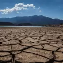 Habrá dos años de emergencia agropecuaria por la sequía en Mendoza
