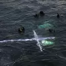 Buzos de todo el pas participan del Va Crucis Submarino