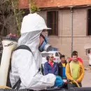 El Gobierno alertó hasta cuándo habrá que protegerse del dengue en Mendoza