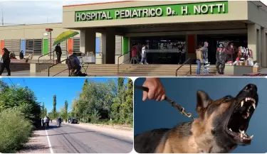 Testimonio del primo del nio atacado por un perro en Rivadavia