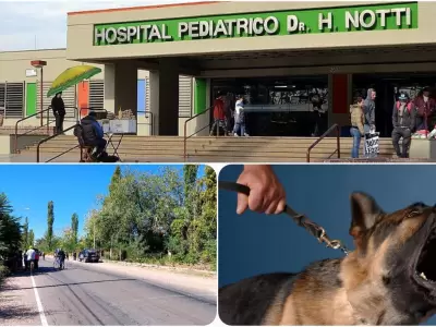 Testimonio del primo del niño atacado por un perro en Rivadavia