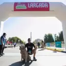 Vuelve la Maratón Animal a la Ciudad de Mendoza