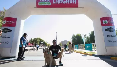 maraton-animal