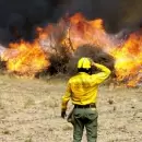 Tras extinguir incendios forestales en tres provincias, ya no quedan focos activos en el pa�s