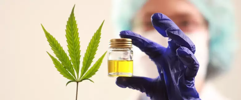 cannabi medicinal