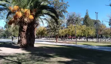 mendoza