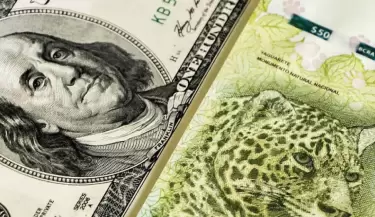 dolar