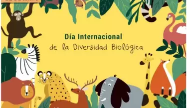 dia internacional de la diversidad biologica
