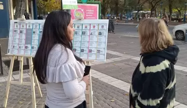 Boleta �nica