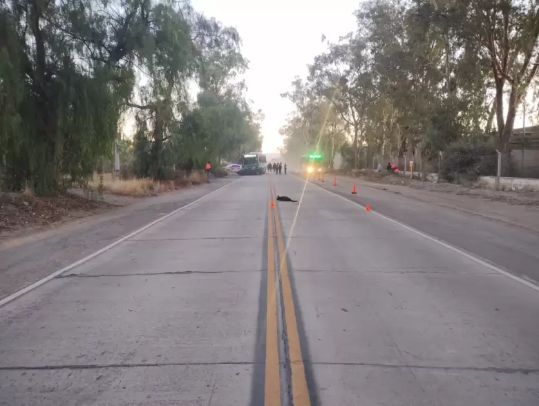 Accidente vial