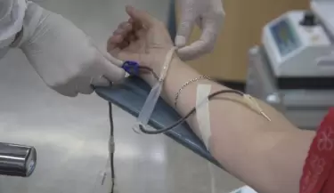 donar-sangre