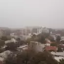 Mendoza amaneci con niebla en diferentes localidades urbanas