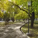 "Efecto oto�o": Capital usar� la hojarasca para fertilizar sus espacios verdes