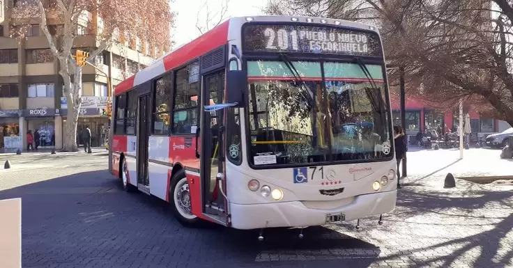 colectivo 201
