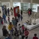 Exhiben un esqueleto de rinoceronte blanco en Museo Cornelio Moyano