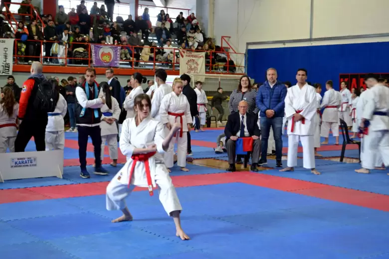 torneo de karate maipu