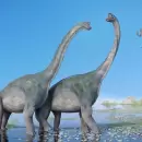 "Los dinosaurios": la serie de Steven Spielberg que ya es lo m�s visto en Netflix
