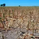 Declaran la emergencia agropecuaria en Tucum�n por sequ�a