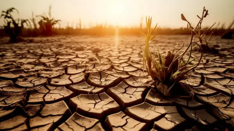 cambio climatico