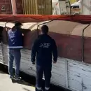 La AFIP incaut en Mendoza 200 toneladas de ajo que no tenan documentacin de transporte