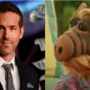 Ryan Reynolds compr los derechos de Alf y vuelve a la televisin: tendr nuevos episodios?