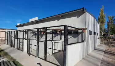 hospital veterinario