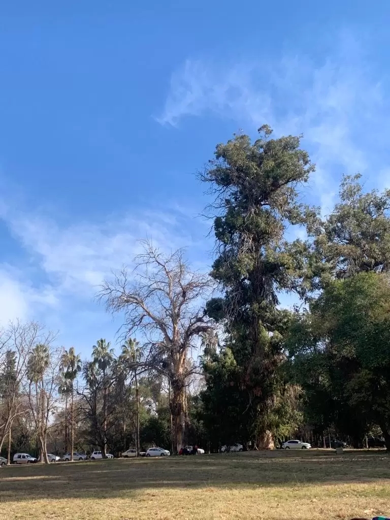 tiempo-parque-mendoza