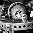 Juan, el mono argentino que fue el primer astronauta criollo