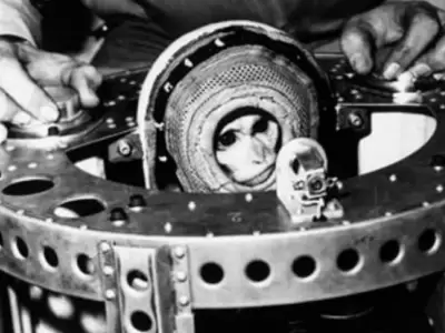 el-mono-juan-primer-astronauta-argentino